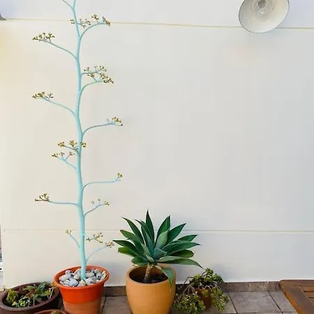 El Toyo Cactus Apartment
