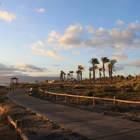 El Toyo Cactus * Almeria